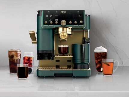 6-Meter ausziehbare Leiter-2